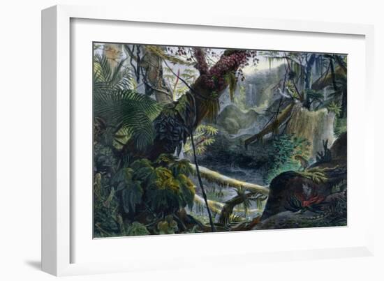 Valley in the Serra Do Mar, Voyage Pittoresque et Historique Au Bresil by Debret-Jean Baptiste Debret-Framed Giclee Print