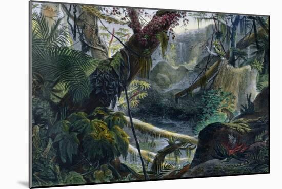 Valley in the Serra Do Mar, Voyage Pittoresque et Historique Au Bresil by Debret-Jean Baptiste Debret-Mounted Giclee Print