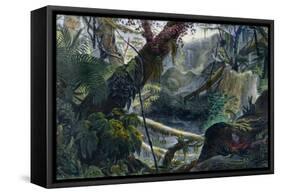 Valley in the Serra Do Mar, Voyage Pittoresque et Historique Au Bresil by Debret-Jean Baptiste Debret-Framed Stretched Canvas