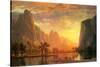 Valley in Yosemite-Albert Bierstadt-Stretched Canvas