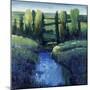 Valley Lake-Tim O'toole-Mounted Giclee Print