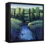 Valley Lake-Tim O'toole-Framed Stretched Canvas