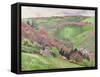 Valley Landscape, 20th Century-null-Framed Stretched Canvas