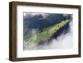Valley Landscape Near Fliess, Naturpark Kaunergrat, Tirol, Austria, July 2008-Benvie-Framed Photographic Print
