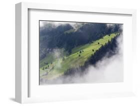 Valley Landscape Near Fliess, Naturpark Kaunergrat, Tirol, Austria, July 2008-Benvie-Framed Photographic Print