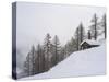 Valley Lesachtal During Winter, Mountain Huts in Deep Snow. Austria-Martin Zwick-Stretched Canvas