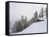 Valley Lesachtal During Winter, Mountain Huts in Deep Snow. Austria-Martin Zwick-Framed Stretched Canvas