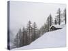 Valley Lesachtal During Winter, Mountain Huts in Deep Snow. Austria-Martin Zwick-Stretched Canvas