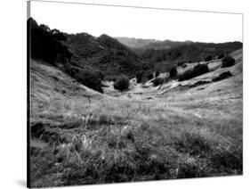 Valley Mono-John Gusky-Stretched Canvas