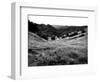 Valley Mono-John Gusky-Framed Photographic Print