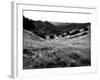 Valley Mono-John Gusky-Framed Photographic Print