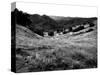 Valley Mono-John Gusky-Stretched Canvas