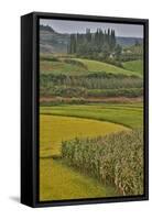 Valley Near Tangjiawan Kunming Crops of Rice and Corn-Darrell Gulin-Framed Stretched Canvas
