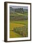 Valley Near Tangjiawan Kunming Crops of Rice and Corn-Darrell Gulin-Framed Photographic Print