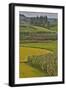 Valley Near Tangjiawan Kunming Crops of Rice and Corn-Darrell Gulin-Framed Photographic Print