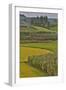 Valley Near Tangjiawan Kunming Crops of Rice and Corn-Darrell Gulin-Framed Photographic Print