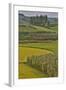 Valley Near Tangjiawan Kunming Crops of Rice and Corn-Darrell Gulin-Framed Photographic Print