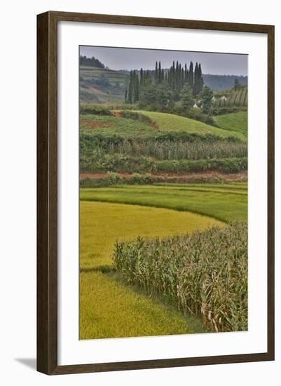 Valley Near Tangjiawan Kunming Crops of Rice and Corn-Darrell Gulin-Framed Photographic Print