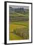 Valley Near Tangjiawan Kunming Crops of Rice and Corn-Darrell Gulin-Framed Photographic Print