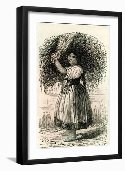 Valley of Arequipa Peonne 1869 Peru-null-Framed Giclee Print