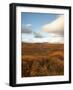 Valley of Fall Color-Arctic-Images-Framed Photographic Print