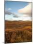 Valley of Fall Color-Arctic-Images-Mounted Photographic Print