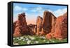 Valley of Fire, Las Vegas, Nevada-null-Framed Stretched Canvas