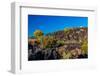 Valley of Fire Lava Field in New Mexico with Interesting Flow Stone Lava Rocks and Cactus-Richard McMillin-Framed Photographic Print