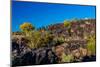 Valley of Fire Lava Field in New Mexico with Interesting Flow Stone Lava Rocks and Cactus-Richard McMillin-Mounted Photographic Print