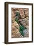 Valley of Fire, Nevada-Adam Jones-Framed Photographic Print