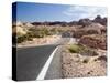 Valley of Fire State Park, Nevada, USA-Diane Johnson-Stretched Canvas