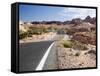 Valley of Fire State Park, Nevada, USA-Diane Johnson-Framed Stretched Canvas