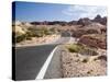 Valley of Fire State Park, Nevada, USA-Diane Johnson-Stretched Canvas