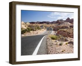 Valley of Fire State Park, Nevada, USA-Diane Johnson-Framed Photographic Print