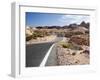 Valley of Fire State Park, Nevada, USA-Diane Johnson-Framed Photographic Print