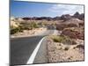 Valley of Fire State Park, Nevada, USA-Diane Johnson-Mounted Photographic Print