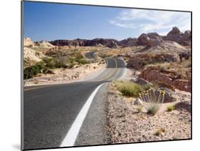 Valley of Fire State Park, Nevada, USA-Diane Johnson-Mounted Photographic Print