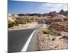 Valley of Fire State Park, Nevada, USA-Diane Johnson-Mounted Photographic Print