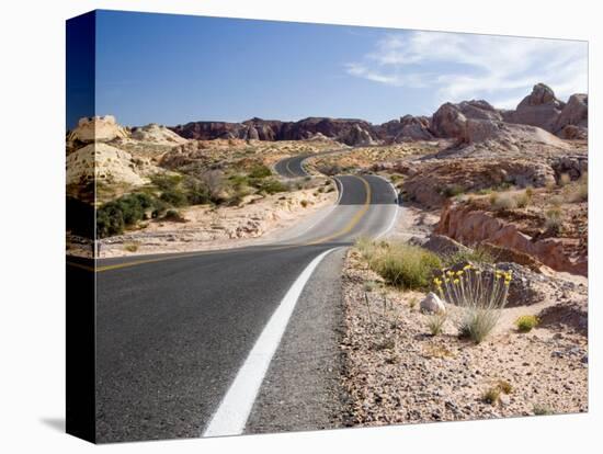 Valley of Fire State Park, Nevada, USA-Diane Johnson-Stretched Canvas