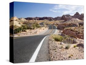 Valley of Fire State Park, Nevada, USA-Diane Johnson-Stretched Canvas