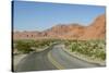 Valley of Fire State Park Outside Las Vegas, Nevada, United States of America, North America-Michael DeFreitas-Stretched Canvas