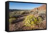 Valley of Fire State Park Outside Las Vegas, Nevada, United States of America, North America-Michael DeFreitas-Framed Stretched Canvas