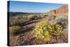 Valley of Fire State Park Outside Las Vegas, Nevada, United States of America, North America-Michael DeFreitas-Stretched Canvas