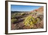 Valley of Fire State Park Outside Las Vegas, Nevada, United States of America, North America-Michael DeFreitas-Framed Photographic Print