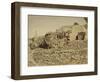 Valley of Jehosaphat, 1855-57-Mendel John Diness-Framed Giclee Print