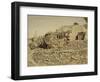 Valley of Jehosaphat, 1855-57-Mendel John Diness-Framed Giclee Print