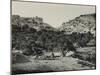 Valley of Jehosaphat from the South, 1850s-Mendel John Diness-Mounted Giclee Print