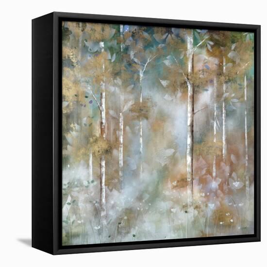 Valley of Mist-Jason Jarava-Framed Stretched Canvas