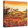 Valley of Poppies-Richard Leblanc-Stretched Canvas
