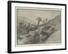 Valley of San Roque, on the Road to Tafira, Grand Canary-Charles Auguste Loye-Framed Giclee Print